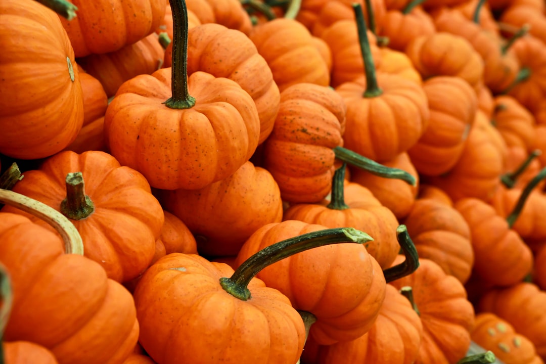 Tracing the Pumpkin’s Roots: A Journey Through Its Origin Country, Scientific Name, and Historical Significance