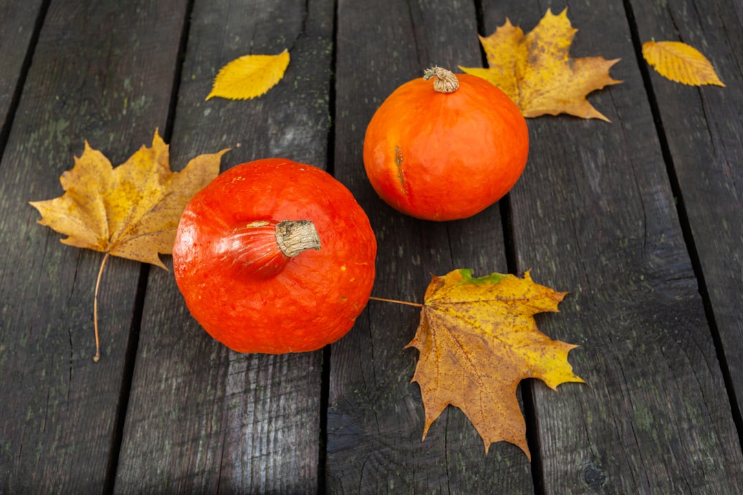 The Fascinating Journey of Pumpkins: From Ancient Origins to Modern-Day Celebrations