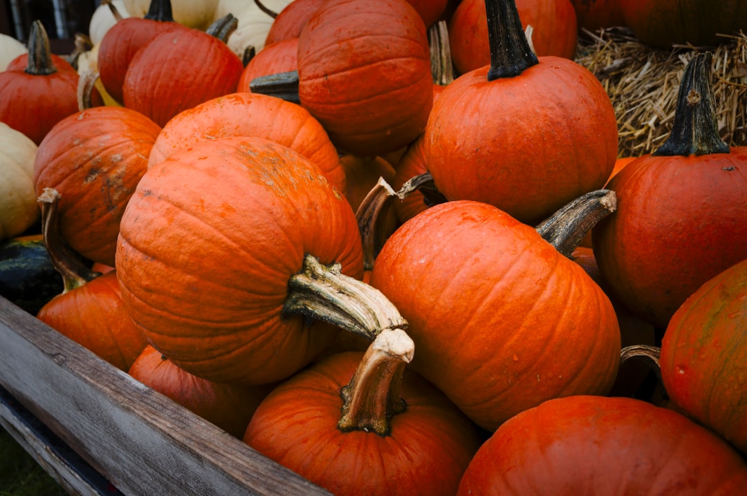 Beyond Halloween: The Nutritional Power and Varieties of Pumpkins Explained