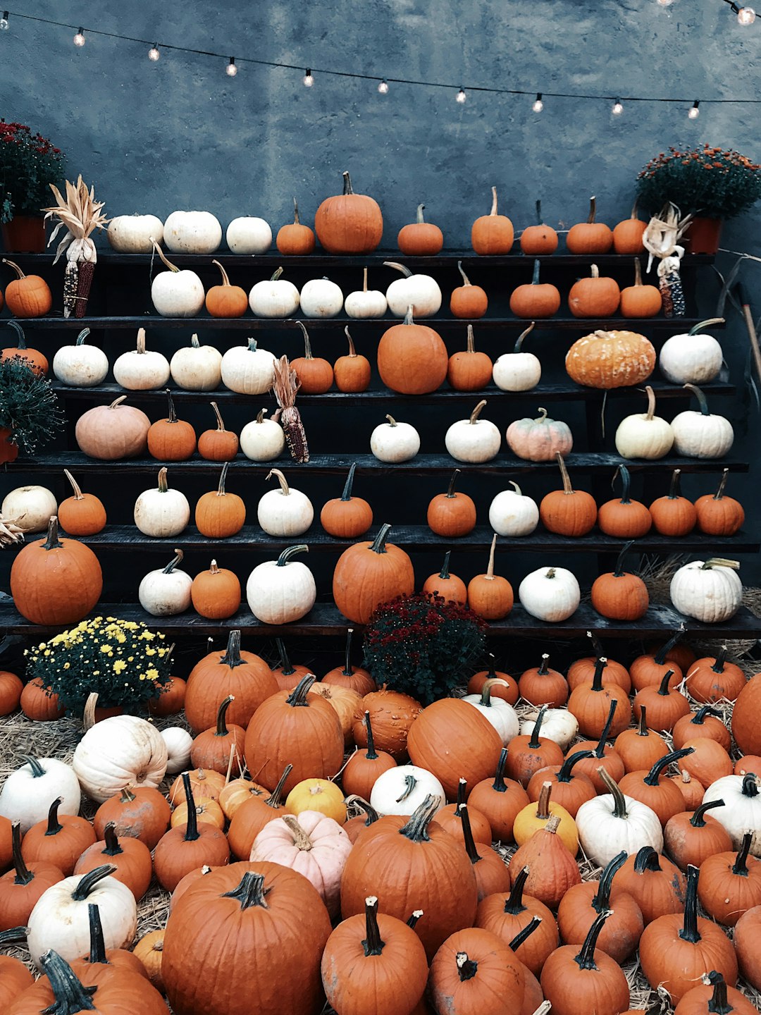 From Patch to Plate: Delicious and Eco-Friendly Pumpkin Ideas