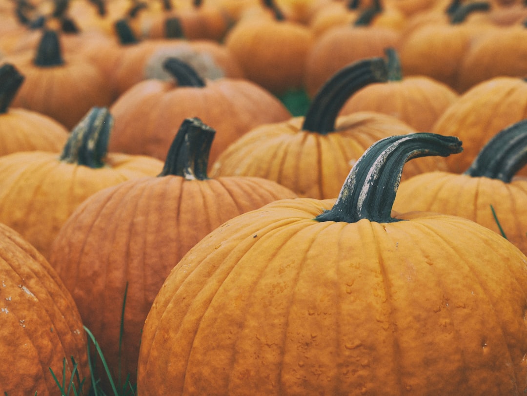 Pumpkin Protection Tips